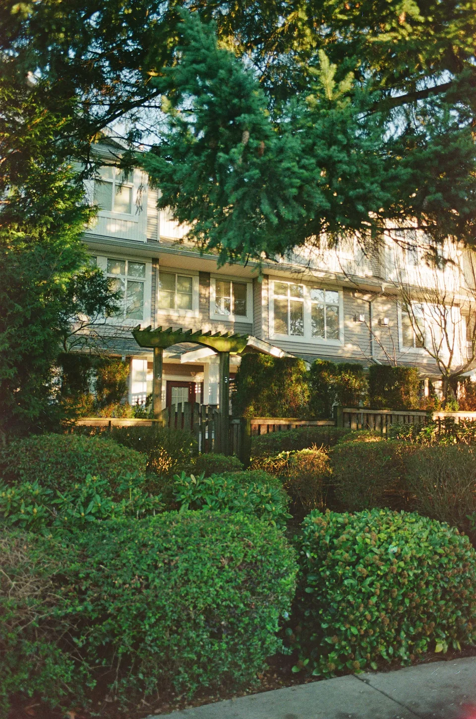 Illustrative photograph: Residential building behind mature planting and a timber garden arch